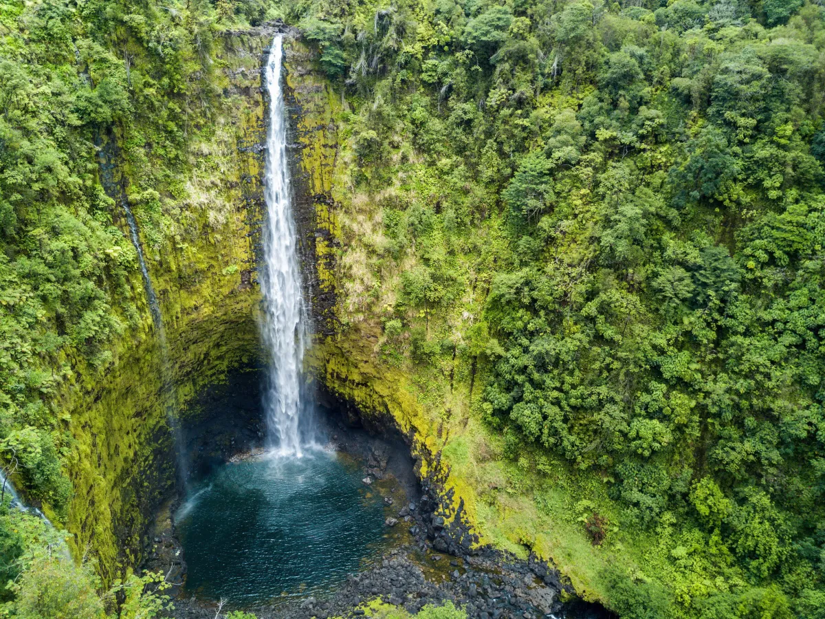 Lush Hamakua Coast valley with tropical vegetation near Akaka Falls State Park on the Big Island of Hawaii Hilo side