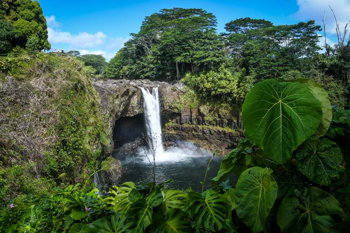 Lush tropical forest and waterfall in Hilo Hawaii — the landscape Christian's waterfall hike explores on the alawai trails