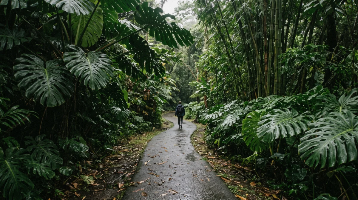 The paved Akaka Falls loop trail near Hilo, part of what Hilo waterfall tours cost to include versus a self-drive visit