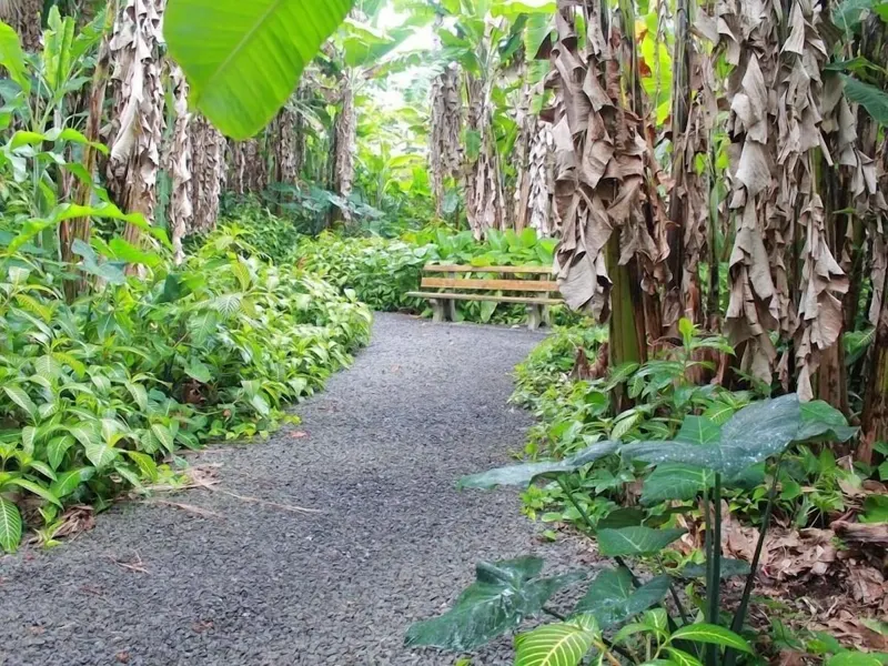 Garden path at the Dolphin Bay Hotel in Puʻueo, the closest hotel to Rainbow Falls and the hilo hawaii waterfalls