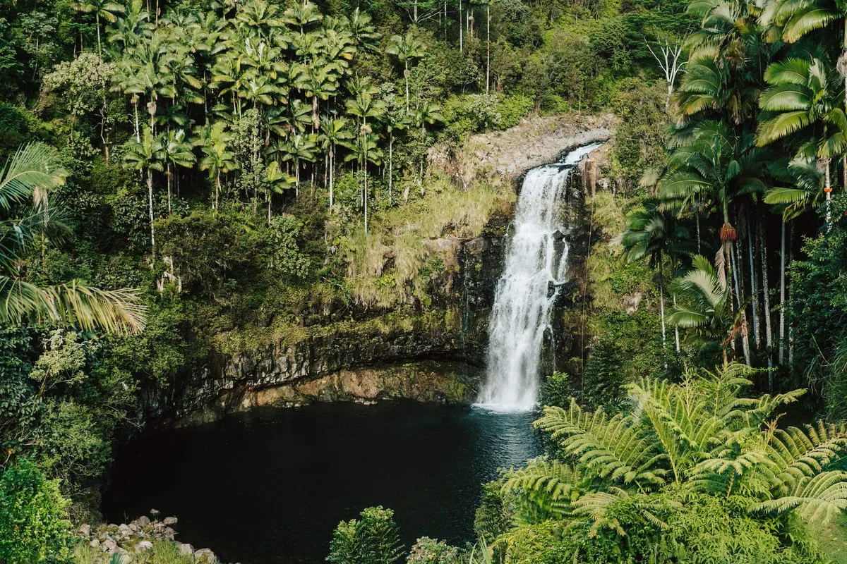 Aerial view of a waterfall and lush green jungle valley near Hilo Hawaii — terrain similar to the native Hawaiian waterfall hike