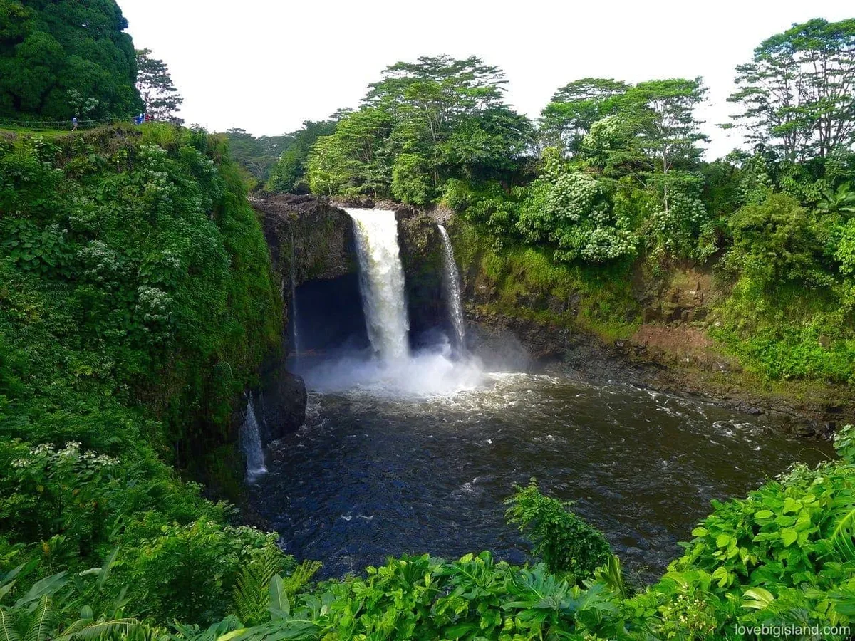 Rainbow Falls cascading over a lava cave on the Wailuku River — a highlight stop on the Shaka Braddah half-day volcano and waterfall tour from Hilo Hawaii