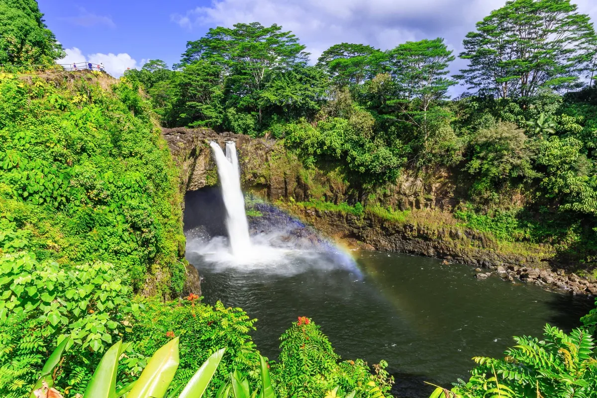 Aerial view of lush tropical ravine and waterfall on the Hamakua Coast near Akaka Falls State Park Big Island Hawaii